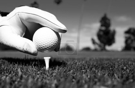 Téléchargez les photos : Main mettant la balle de golf sur le tee dans le terrain de golf. Boule de golf en herbe. Boule de golf sur le tee prêt à être tiré - en image libre de droit