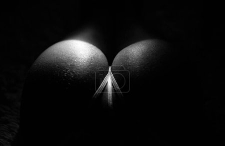 Photo for Erotic massage. Perfect buttocks. Buttocks smooth skin. Desirable female body close up. Anti cellulite remedy. Plastic surgery. Buttocks aesthetic. Sexy buttocks white lingerie. Attractive female ass. - Royalty Free Image