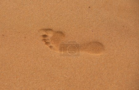 Foto de Huella de pie en la playa de arena, primer plano. Huellas descalzas en la arena del desierto - Imagen libre de derechos