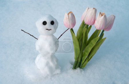 Téléchargez les photos : Homme des neiges aux fleurs printanières tulipes en hiver. Bonhomme de neige de Noël. Nouvel élément année - en image libre de droit