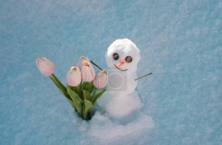 Foto de Hombre de nieve con flores de primavera tulipanes. Un muñeco de nieve divertido en el campo de nieve. La mañana antes de Navidad - Imagen libre de derechos