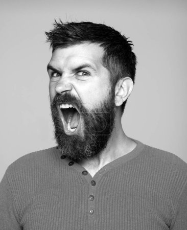 Photo for Scream stressful face expression. Angry Barber with long beard and moustache in barbershop. Bearded annoyed angry man - Royalty Free Image