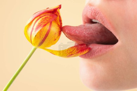 Téléchargez les photos : Des lèvres sensuelles dodues. lèvres avec fleur de tulipe. Femme sensuelle bouche, macro lèvre. Fermer lèvres sensuelles avec rose rose fleur. Du rouge à lèvres sexy. Bouche sensuelle macro. Sensualité tactile - en image libre de droit