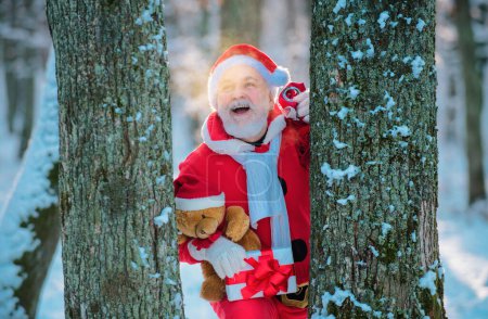Téléchargez les photos : Père Noël dans la forêt de neige de Noël - en image libre de droit