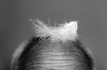Foto de Cuidado del cabello masculino. Envejecer viejo. Cabeza de calvo. Calvicie mayor masculina. concepto de pérdida de cabello y problemas de salud - Imagen libre de derechos