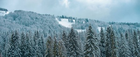 Foto de Escena de invierno con bandera de bosque nevado. Pinos cubiertos de nieve, fondo de invierno. Montañas frías y nevadas de invierno - Imagen libre de derechos