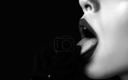 Téléchargez les photos : Woman with red rose, macro, on red background. Lips with lipstick closeup. Beautiful woman lips with rose. Girl blowjob with tongue, oral sex, symbol - en image libre de droit