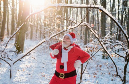 Téléchargez les photos : Le Père Noël marche dans les montagnes d'hiver. Noël avec neige - en image libre de droit