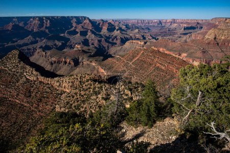 Téléchargez les photos : Parc national du Canyon. Red rocks canyon dans l'Utah. Paysage naturel - en image libre de droit