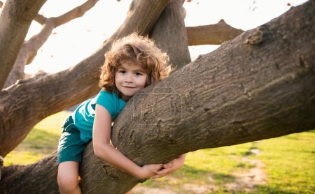 Photo for Child climbing a tree. Cute caucasian kid boy happily lying in a tree hugging a big branch - Royalty Free Image