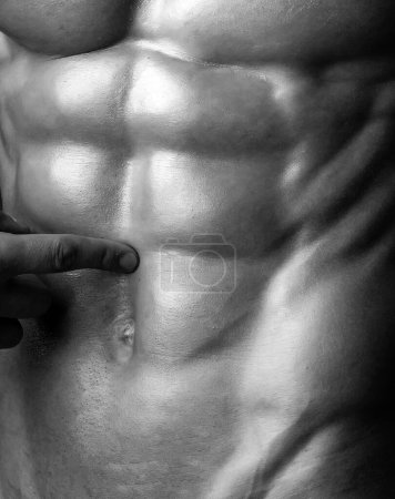 Téléchargez les photos : Six pack abs muscle fermer. Modèles de bannière avec homme musclé, torse musculaire, muscle sixpack - en image libre de droit