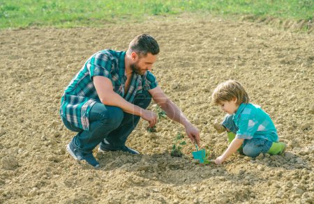 Téléchargez les photos : Le petit garçon fils et un père plantent un arbre. Jardinage père et fils. Un père de famille plantant un arbre au parc - en image libre de droit