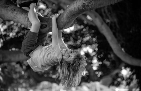 Téléchargez les photos : Des enfants heureux grimpent à l'arbre et s'amusent dans un parc d'été. Les enfants grimpent aux arbres, pendus à l'envers sur un arbre dans un parc. Protection de l'enfance. Concept d'enfance - en image libre de droit