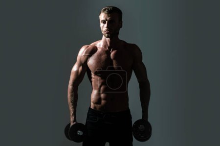 Photo for Sexy sporty torso, man with dumbbells. Portrait of athletic man with dumbbells. Shirtless man man with muscles torso in studio - Royalty Free Image