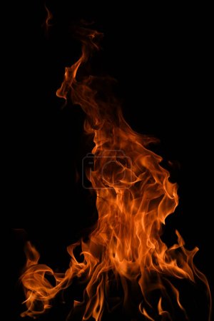 Photo for The fire, burning flame. Large burning flaming fire - Royalty Free Image