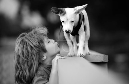 Foto de Juegos de niños y cachorros. Lindo niño jugando con chihuahua perro mixto - Imagen libre de derechos