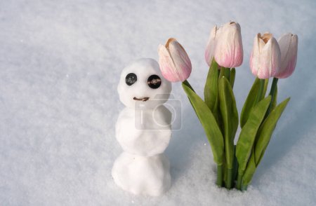 Téléchargez les photos : Bonhomme de neige avec des tulipes de fleurs printanières. Bonhomme de neige souriant heureux sur une journée ensoleillée d'hiver - en image libre de droit