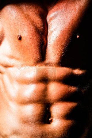 Photo for Close up Male chest. Chest muscles. Six pack abs. Fitness man showing abs and flat belly. Fit body, strong abs and belly with six pack. Abs belly Muscles. Torso and six packs, attractive naked male - Royalty Free Image