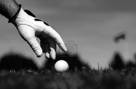 Photo for Golfer man with golf glove. Hand putting golf ball on tee in golf course - Royalty Free Image