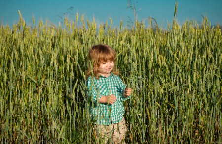 Téléchargez les photos : Portrait d'un petit garçon dans un champ de blé à la ferme. Un petit fermier. Exploitation agricole et jardinage des légumes, récolte - en image libre de droit