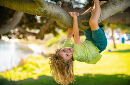 Téléchargez les photos : Enfant sur une branche d'arbre. Escalade d'enfants dans le parc d'activités aventure. Les assurances. Petit garçon confronté à un défi en essayant de grimper à un arbre. À l'envers. Concept d'enfance - en image libre de droit
