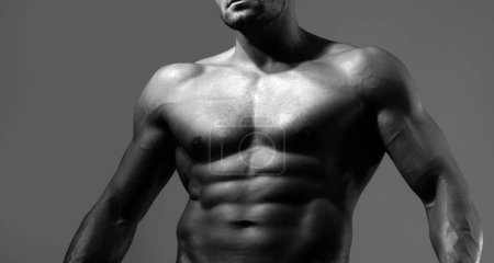 Photo for Close up on perfect abs. Strong bodybuilder with six pack. Men abs. Fitness abdominal muscle. Man six pack - Royalty Free Image