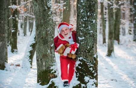 Foto de Santa Claus viene en el bosque de nieve Navidad - Imagen libre de derechos