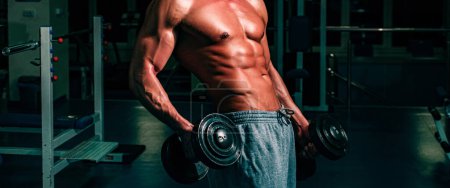 Foto de Banner templates with muscular man, muscular torso, six pack abs muscle. Bodybuilder in gym. Training and workouts. Dumbbells exercises. Sportsman with naked torso - Imagen libre de derechos