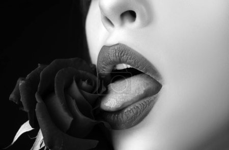 Lips lick rose closeup. Beautiful woman lips with rose