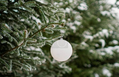 Téléchargez les photos : Boule blanche sur une branche de sapin couverte de neige. Décoration de Noël - douce. Ton vintage - en image libre de droit