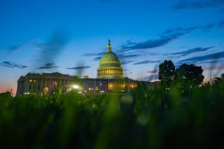 Foto de Washington DC. Edificio Capitolio. Congreso de los Estados Unidos, Washington D.C. Grass park night shoot - Imagen libre de derechos