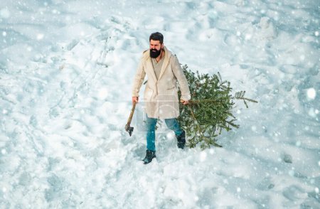 Photo for Bearded man is carrying Christmas tree in the wood. Christmas tree cut. Merry Christmas and Happy Holidays. Young lumberjack bears fir tree in the white snow background - Royalty Free Image