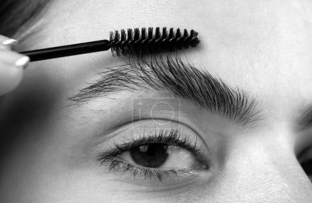 Photo for Modeling brows, gorgeous charming lady with beauty face, healthy clear skin, holds brush in hand and paint her eyebrows. Macro close up of brows - Royalty Free Image