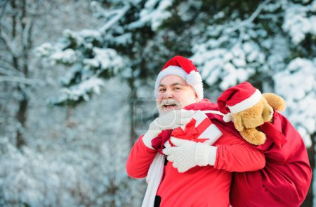 Téléchargez les photos : Père Noël drôle avec cadeau la veille de Noël à l'extérieur sur fond de branche de sapin neigeux - en image libre de droit