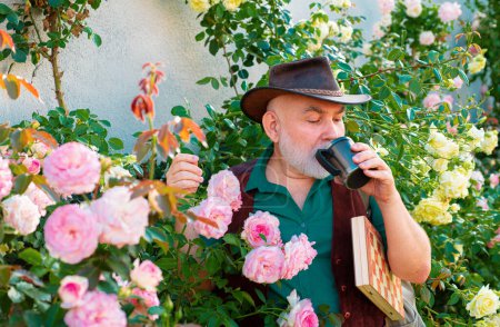 Téléchargez les photos : Senior homme dans le jardin de roses boire thé café. Jardiniers aux fleurs printanières - en image libre de droit