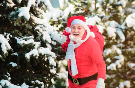 Téléchargez les photos : Père Noël avec un énorme sac rouge sur fond de branche enneigée de sapin. Joyeux Noël et Nouvel An concept - en image libre de droit