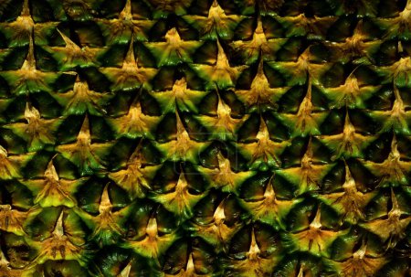 Téléchargez les photos : Texture ananas. Peau d'ananas en gros plan, motif tropical avec espace de copie - en image libre de droit