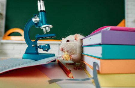 Foto de Divertido estudiante de ratas. Diseño para libro, aprendizaje, educación y ciencia. Concepto para universidad o escuela - Imagen libre de derechos