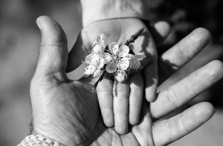Photo for Spring family. Hands of dad ans son. Children adaptation, adopted child, generation - Royalty Free Image