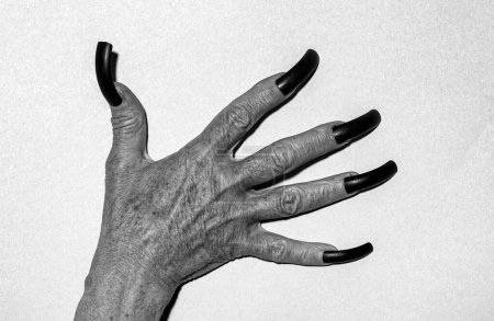 Photo for Closeup halloween manicure. Old scary hands with long black nails. Demon or devil on halloween holiday - Royalty Free Image