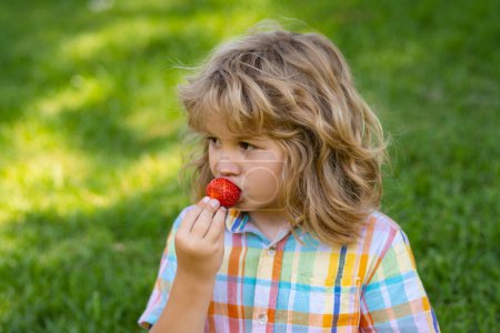 Photo for Summer cute kid face. Kid picking and eating ripe strawberry. Happy child holding fresh fruits berry strawberry. Healthy organic berry strawberries fruit, summer season - Royalty Free Image