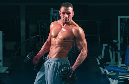 Photo for Gym. Training and workouts. Dumbbells exercises. Male torso with six packs. Bodybuilder in gym. Sportsman with naked body - Royalty Free Image