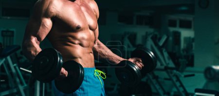 Photo for Banner templates with muscular man, muscular torso, six pack abs muscle. Guy in gym. Sporty male with naked torso. Workout. Exercises with dumbbells. Powerful athletic body. Sportsman - Royalty Free Image