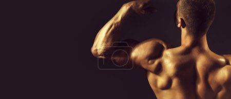 Téléchargez les photos : Homme musclé au dos solide. Modèles de bannière avec homme musclé, torse musculaire, six pack abs muscle - en image libre de droit