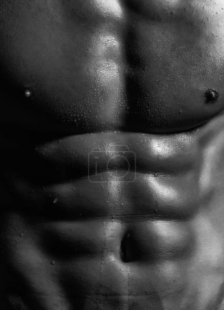 Photo for Attractive male sexy wet body close up. Banner templates with muscular man, muscular torso, six pack abs muscle. Black and white - Royalty Free Image