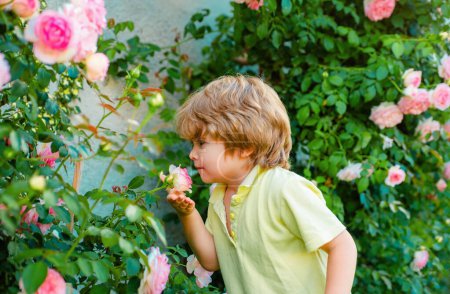Photo for Child in rose garden sniff blossom flower. Spring and summer kid boy - Royalty Free Image