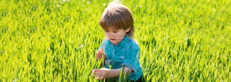 Téléchargez les photos : Bannière avec portrait d'enfants de printemps. Petit garçon agriculteur examinant la figue commune en plantation ou au champ. Enfants sur fond d'herbe verte - en image libre de droit