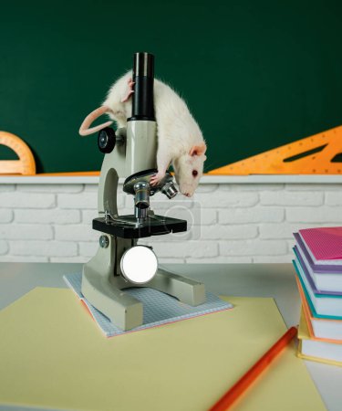 Photo for Funny rat sit on microscope, banner for university college or school - Royalty Free Image