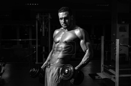 Photo for Bodybuilder in gym. Training and workouts. Dumbbells exercises. Sportsman with naked torso. Sporty workout. Athletic body - Royalty Free Image