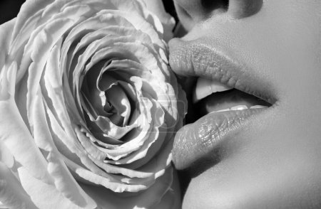 Téléchargez les photos : Des lèvres de femme sensuelle avec une belle rose. Lèvres avec du rouge à lèvres en gros plan. Belle femme sexy lèvres avec rose - en image libre de droit